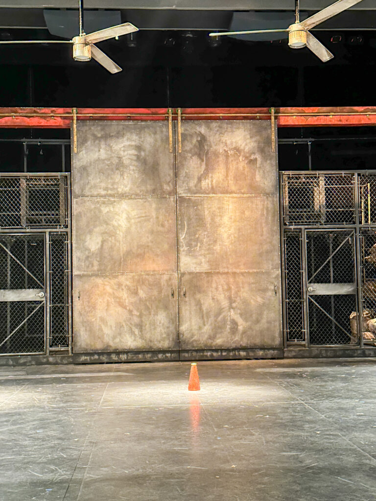 Coriolanus Set