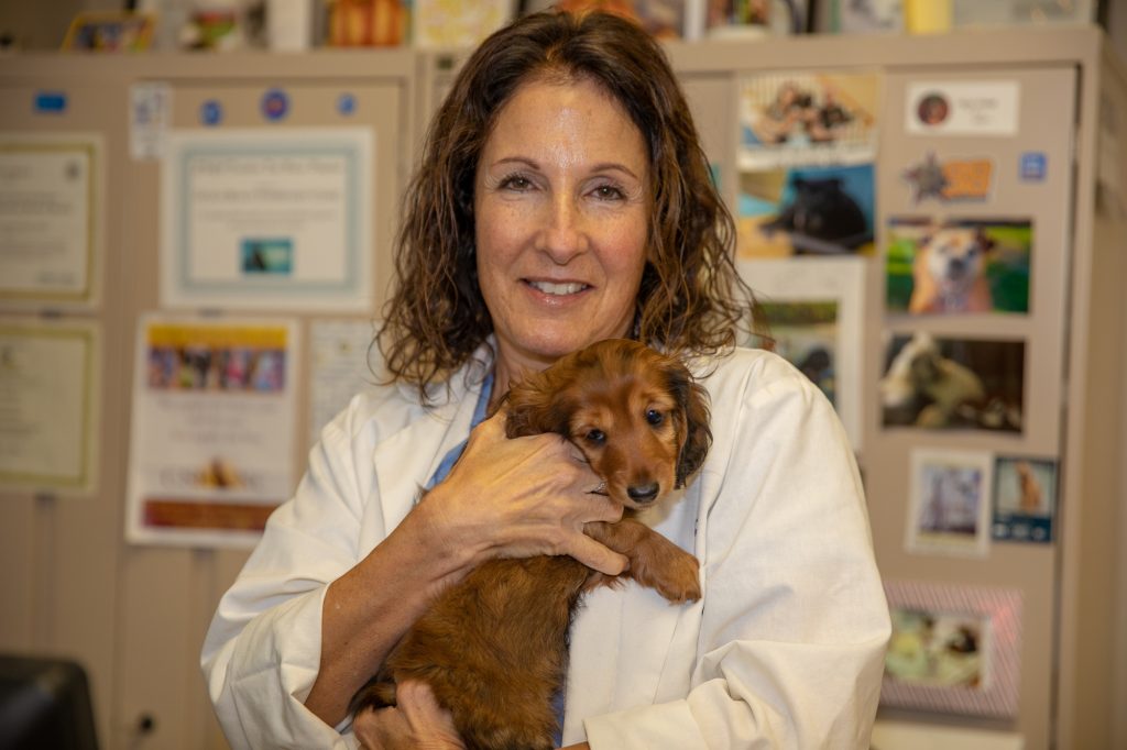 Dr. Chase Meets Aurora in the Veterinary Office