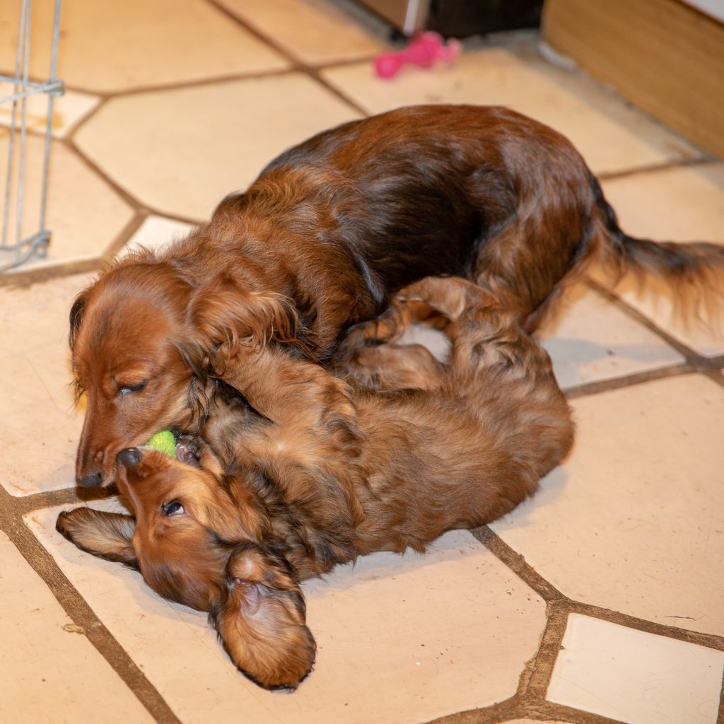 Day 67 -- Mother and Daughter "Share" a Ball