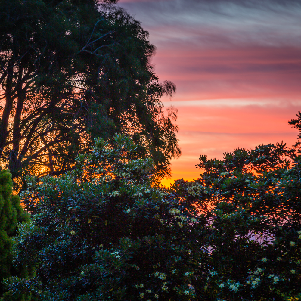 Sunrise in Noe Valley