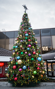 Christmas Tree at 18th and Castro